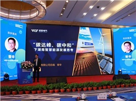 惟遠能源榮獲“十三五”新能源領軍企業(yè)，獻策“十四五”新能源產業(yè)發(fā)展