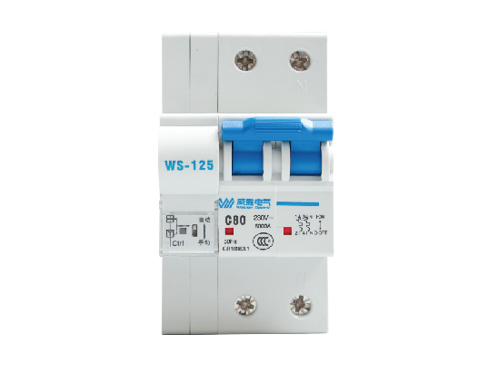 WS-80/125電能表外置斷路器